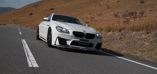 wald bmw 6 series gran coupe body kit black bison front bumper white 2011 2012 2013 2014 2015 2016 2017 2018